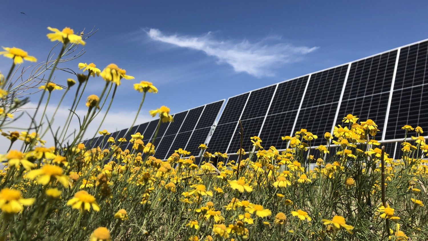 Energiahatékonyság a Nestlé-nél