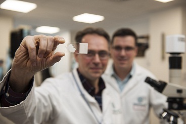 Nestlé fejlesztés Struktúrált cukor kristály