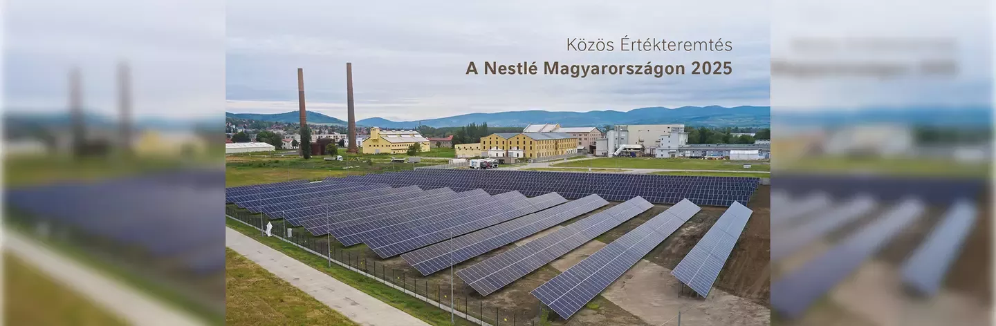 Közös-értékteremtés