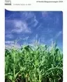 Nestle_CSV2024Report