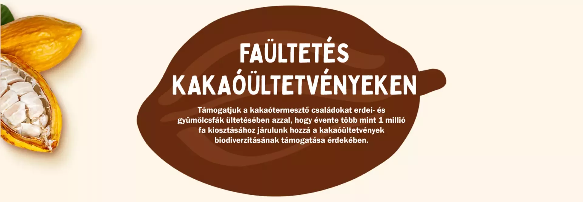 Faültetés-kakaóültetvényeken
