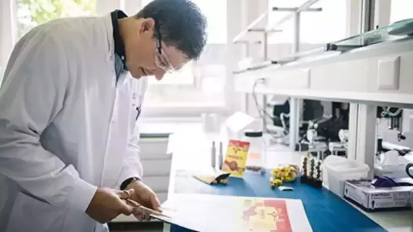Nestlé Kutatóközpont 