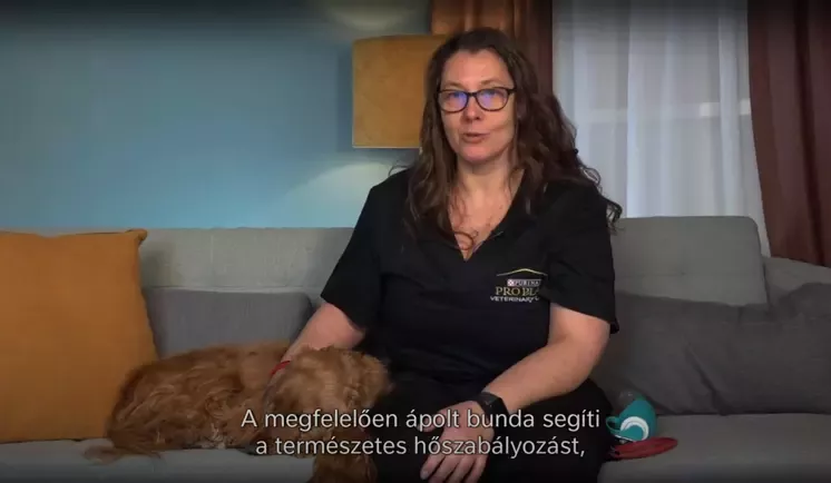Nestlé Spar Augusztus videó