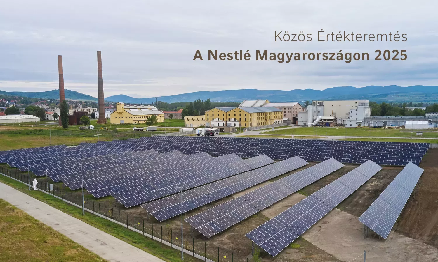 Nestlé csv 2026