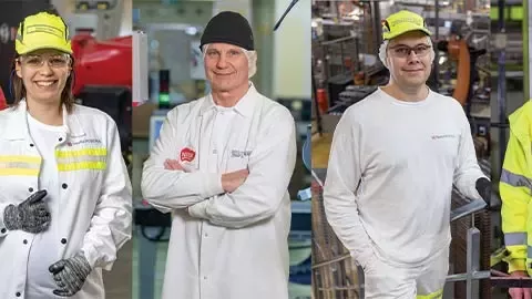 Fenntarthatóság a Nestlé magyarországi gyáraiban
