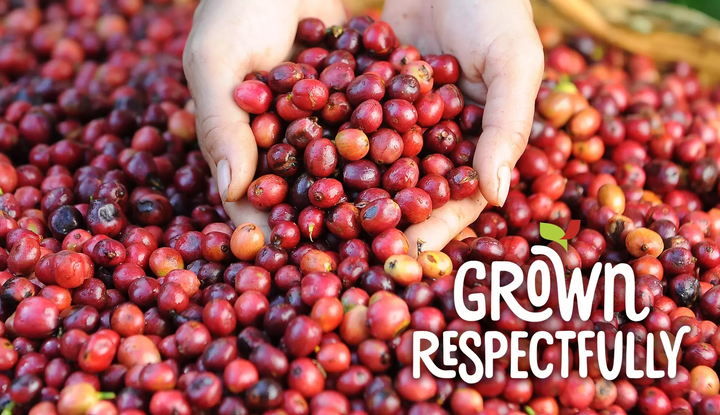 Nescafé grown respectfully