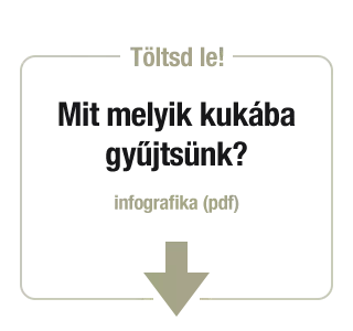 Hulladék infografika